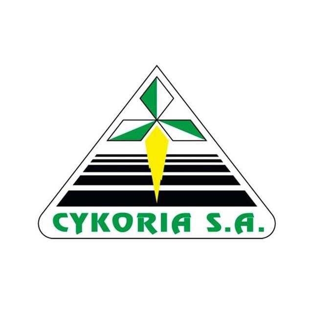 Cykoria